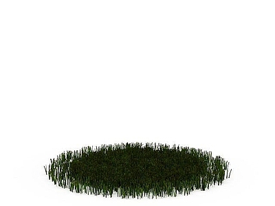 现代绿色植物