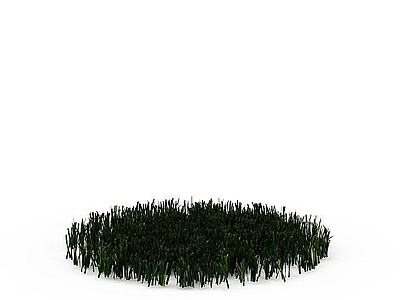 现代植物