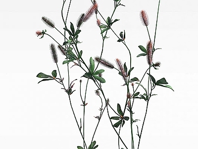 现代公园花草