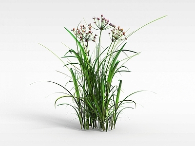 现代绿色野草