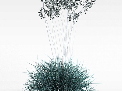 现代野草