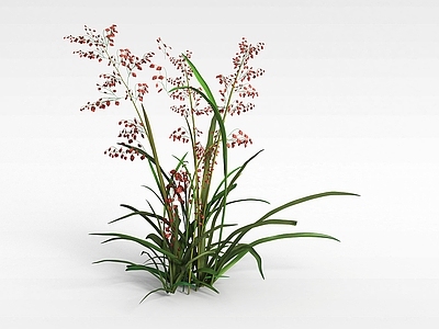现代绿草