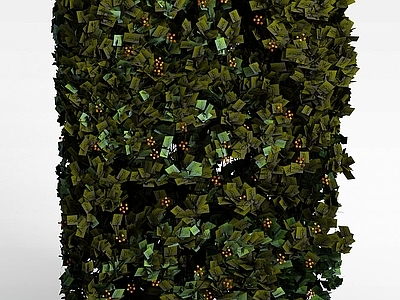 现代绿植墙