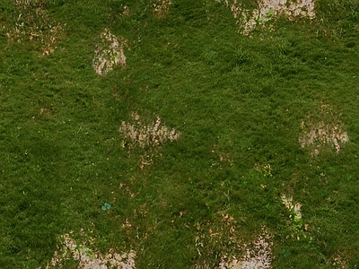 现代自然地面 户外地面 草坪