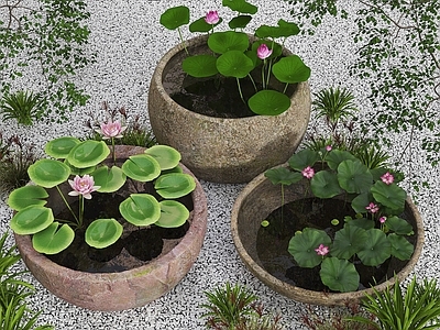 中式其他景观小品 鱼池 水缸荷花池 室内景观水缸 中式景观小品 水缸