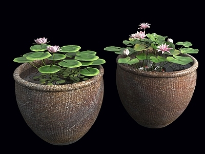 中式其他景观小品 鱼池 水缸荷花池 室内景观水缸 中式景观小品 水缸