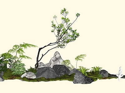 乔木 2D精品海岛春花 石斑木 白杏花 杂木风庭院植物 庭院骨架小乔木
