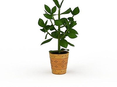 现代佛龛 花草盆栽