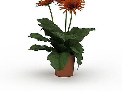 现代佛龛 花草盆栽