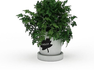 现代佛龛 花草绿植盆栽