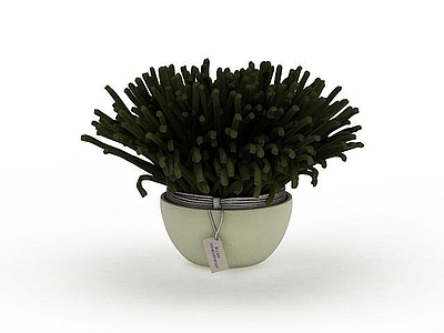 现代佛龛 花草盆栽