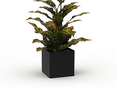 现代佛龛 绿植盆栽