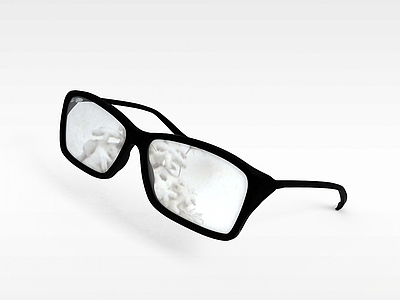 现代家居专卖店 眼镜