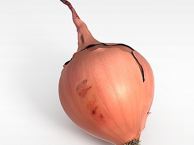 现代其他厨卫 洋葱