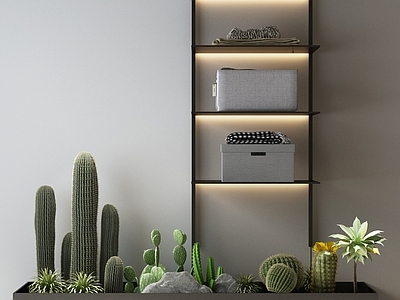 植物堆 现代植物堆 仙人球 仙人掌