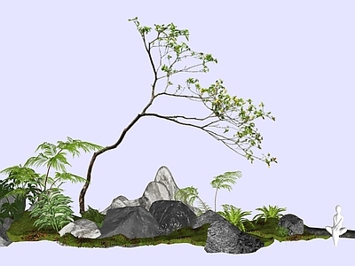 乔木 2D精品海岛栀子 海岛栀子花 中式意境植物 杂木风庭院植物 庭院骨架小乔木