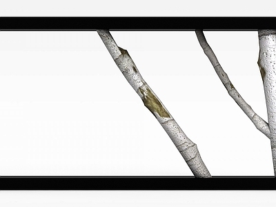 现代其他厨卫 创意相框