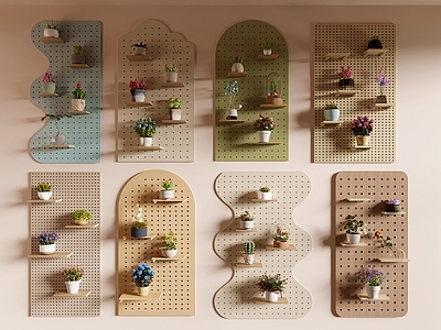 盆栽 洞洞墙盆栽