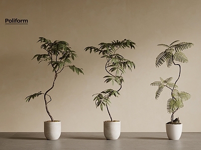 盆栽 中古风绿植 植物