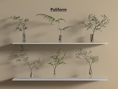 水生植物