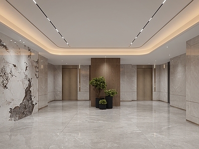 现代电梯间 入户大堂 公共入户电梯厅
