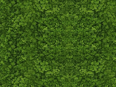 现代自然地面 草坪 苔藓