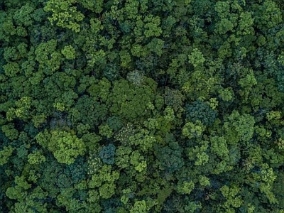 现代自然地面 森林植被 景观地面 草坪 冰