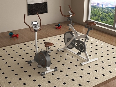 现代健身器材 动感单车 室内健身器材