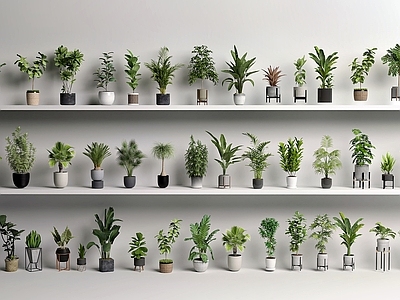 盆栽 室内盆栽组合 绿化花卉盆景 室内盆栽 绿植小景观 绿萝