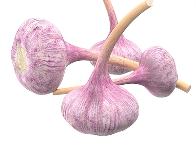 酒水食物 大蒜 紫皮大蒜 蒜球 蔬菜 食物