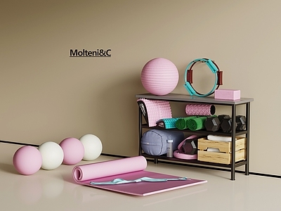 现代健身器材 现代运动器材 瑜伽垫