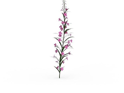 现代粉色园林装饰花
