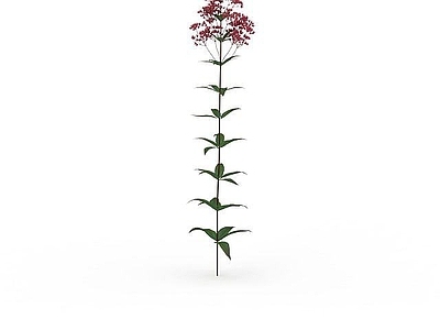 现代景观装饰花