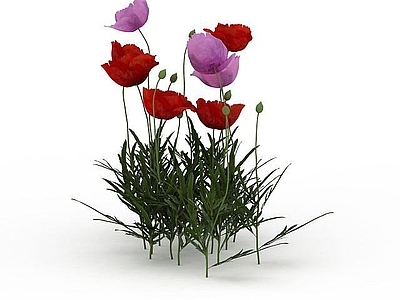 现代公园装饰花
