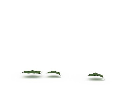 现代绿叶