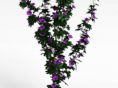 现代紫色花