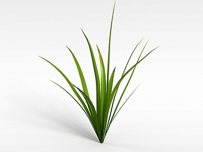 现代绿草
