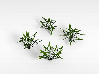 现代花草