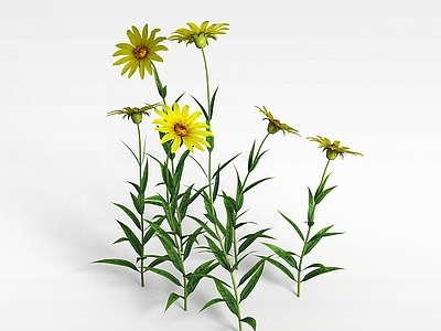 现代黄色花