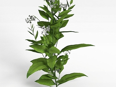现代绿色植物