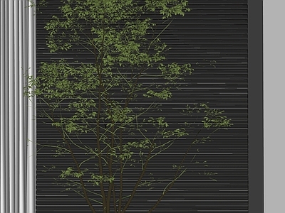 植物组合 盆栽组合 树池植物组合