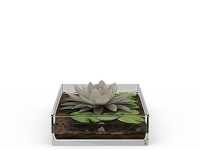 现代陈设品
