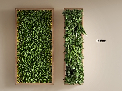 绿植墙 绿植墙 植物背景墙 苔藓 绿植墙饰挂件