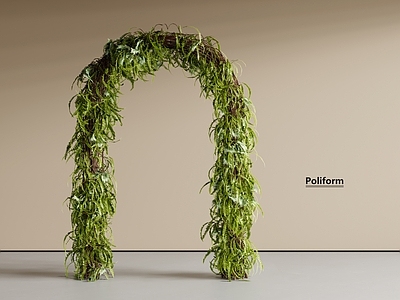 藤蔓 花架藤蔓 廊架藤蔓 拱门藤蔓