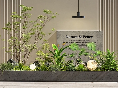 现代室内景观 植物堆 景观造景 庭院景观 庭院小品 植物组合