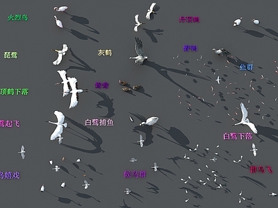 飞行动物 候鸟群 鱼群 白鹭 火烈鸟 丹顶鹤