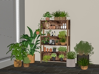 现代其他柜子 现代原木植物装饰 植物摆设组合 高柜 装饰柜