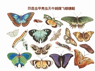 现代新中式挂件 2D 昆虫甲壳虫 蝴蝶飞蛾蜻蜓剪影