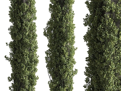 现代柱子 现代绿植柱 植物柱子 藤曼柱子