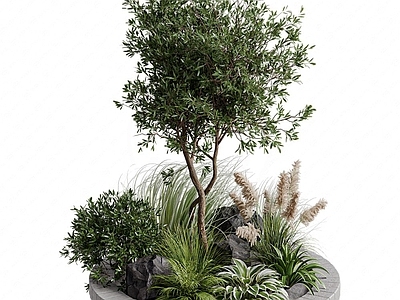 花坛 绿植 植物堆 花坛 庭院绿植